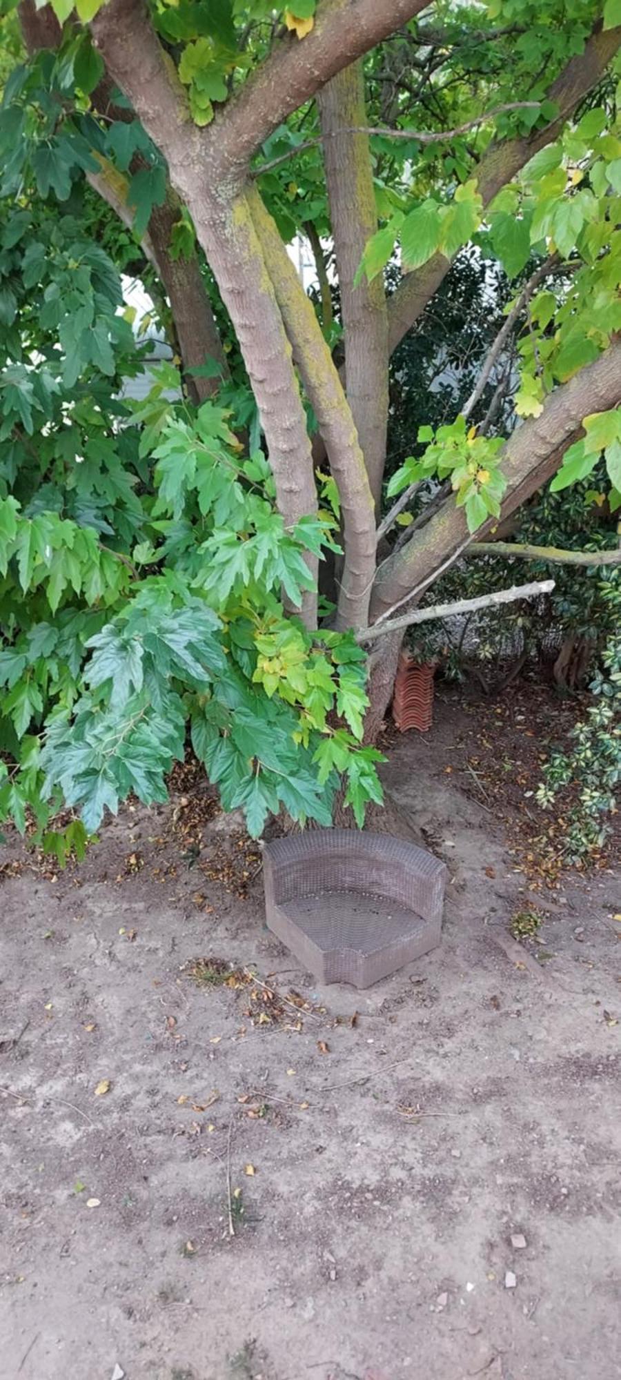 Le Barcares Logement Climatise Pour 6 Personnes, Draps Et Serviettes Non Fournis Air-Conditioned Accommodation For 6 People, Sheets And Towels Not Provided Alojamiento Con Aire Acondicionado Para 6 Personas, Sabanas Y Toallas No Incluidas Bagian luar foto